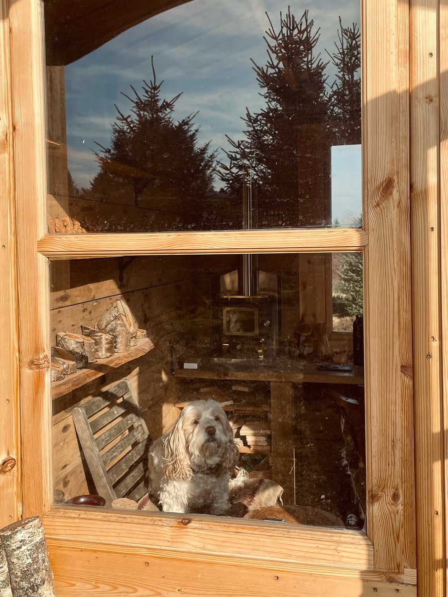 CubicMiniStoves's tweet photo. Perfect spot for a relaxing afternoon.

@thewoodlandcarver 

The WoodCarvers Cabin, Mid March, The Mornings are still icy cold, some beautiful Frosts and Sunrises, the Fire is still well needed to start the day, the coffee brews.. https://t.co/c9lmUbKwzx