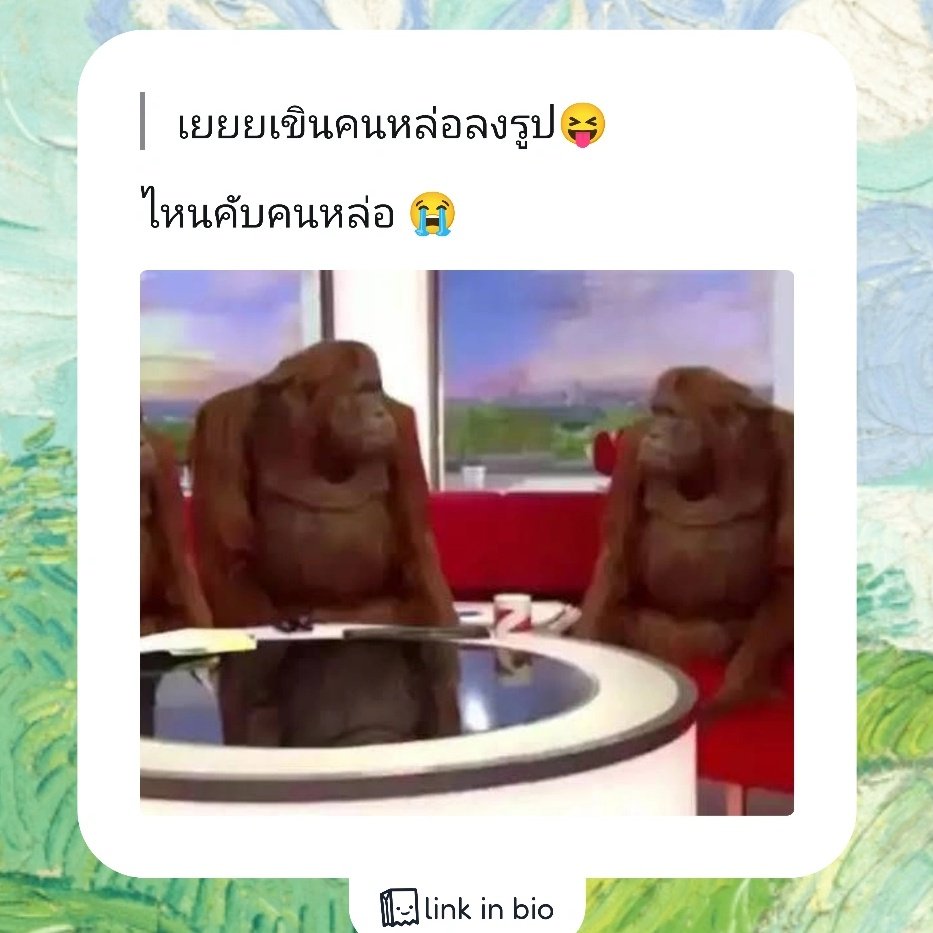 Mocha 🔇 tweet media