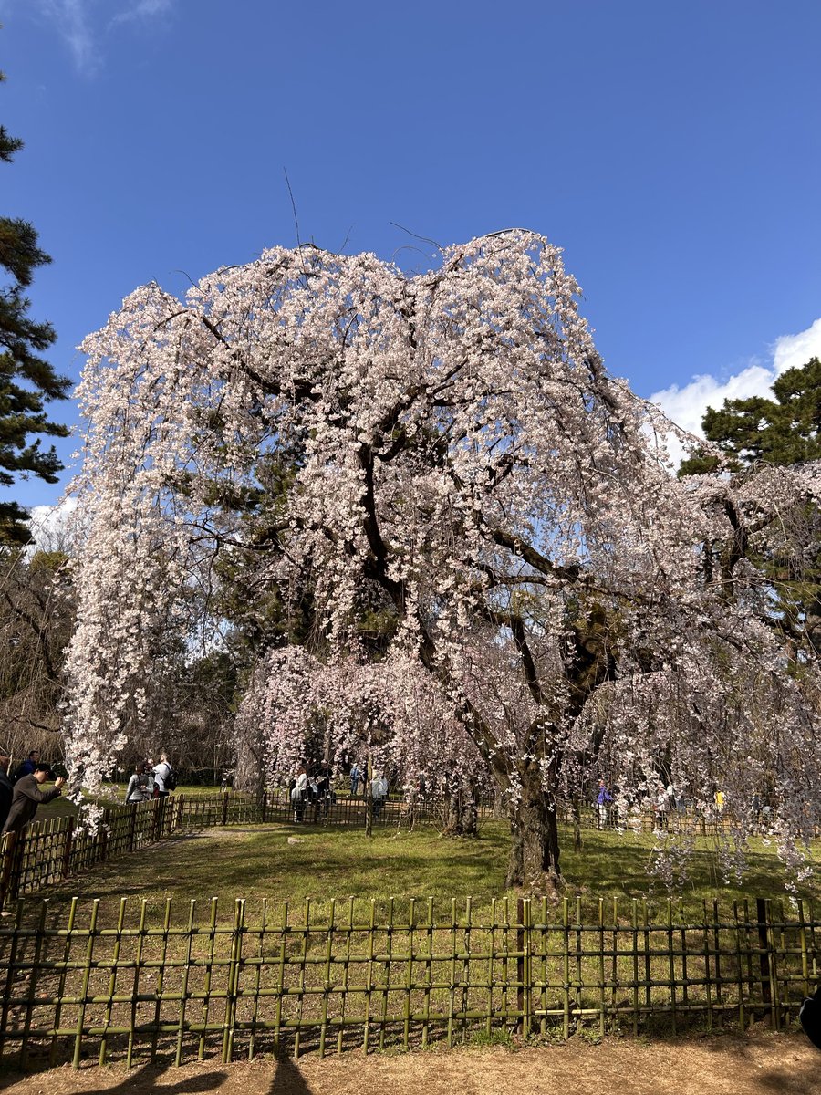 菓子工房 菓楽里(からくり) tweet media