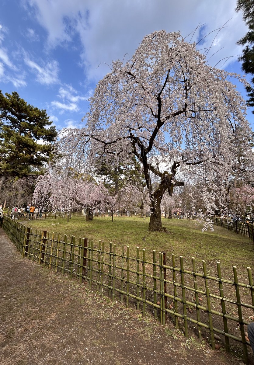 菓子工房 菓楽里(からくり) tweet media
