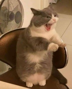 YOONGI YOONGI YOONGI YOONGI tweet media