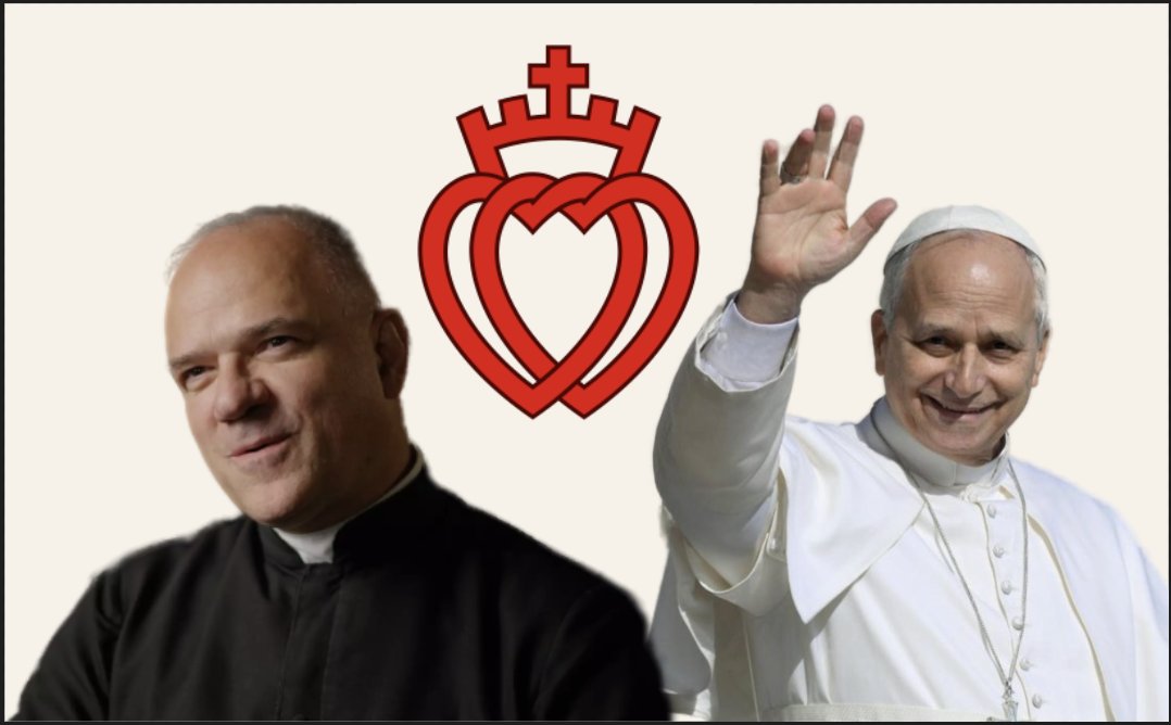 It's good they distance themselves from us sedevacantists, lest there be any confusion between Lefebvrism and actual traditional Roman Catholicism.