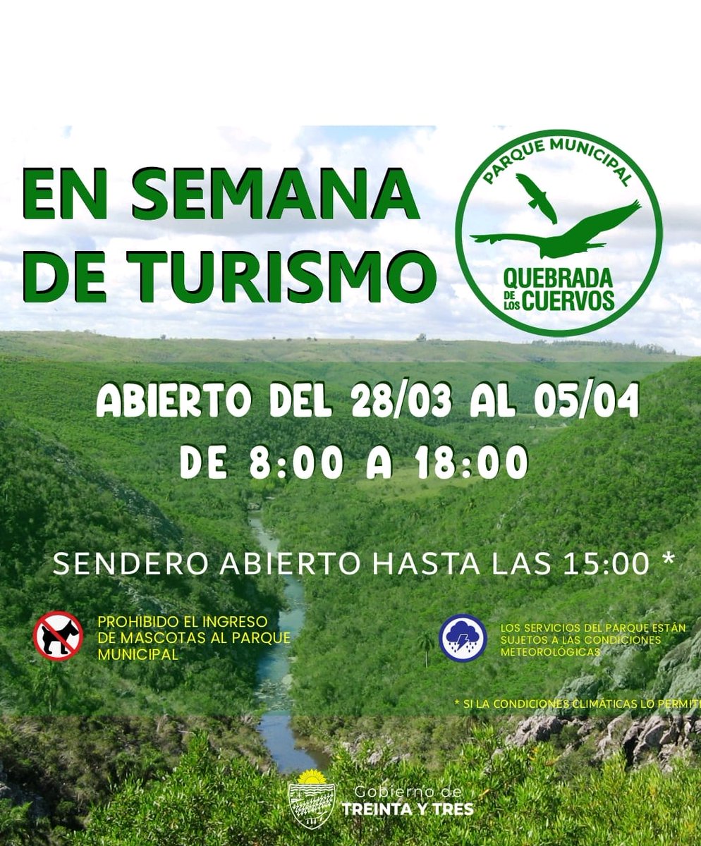 Laura Vaz tweet media