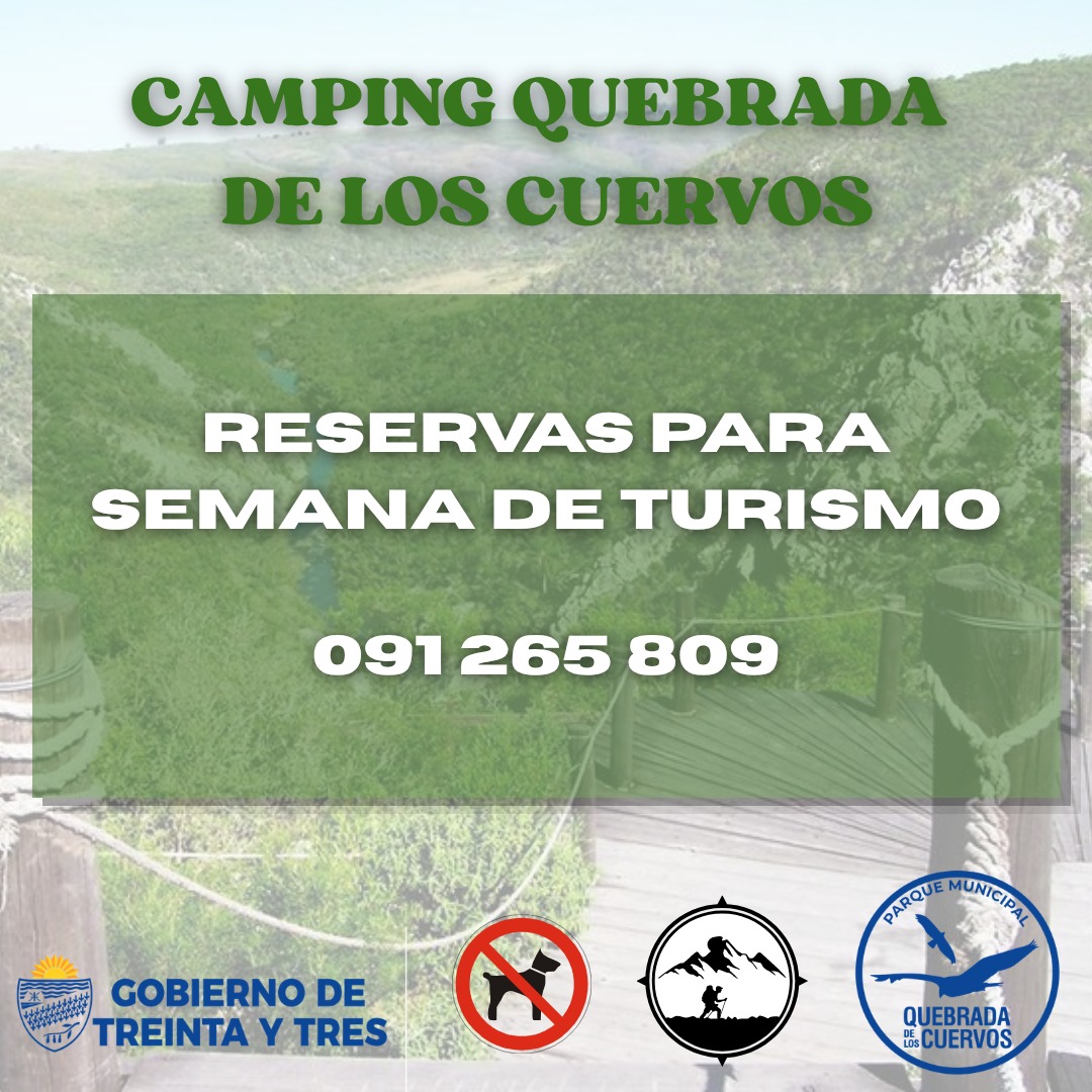 Laura Vaz tweet media