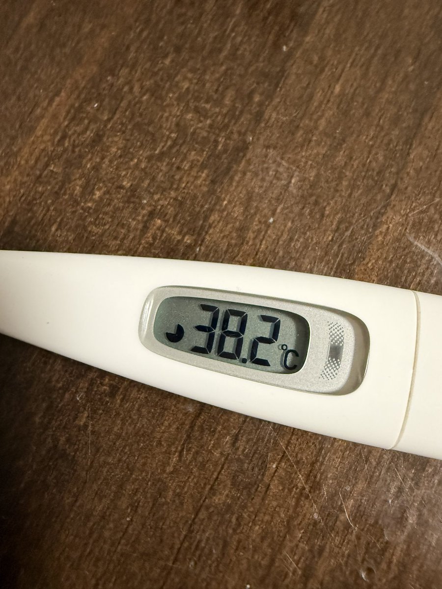 ぎっしぃ((꜆꜄ ˙꒳˙)꜆꜄꜆ tweet media