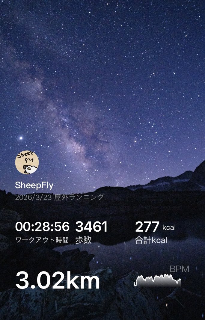 SheepFly tweet media