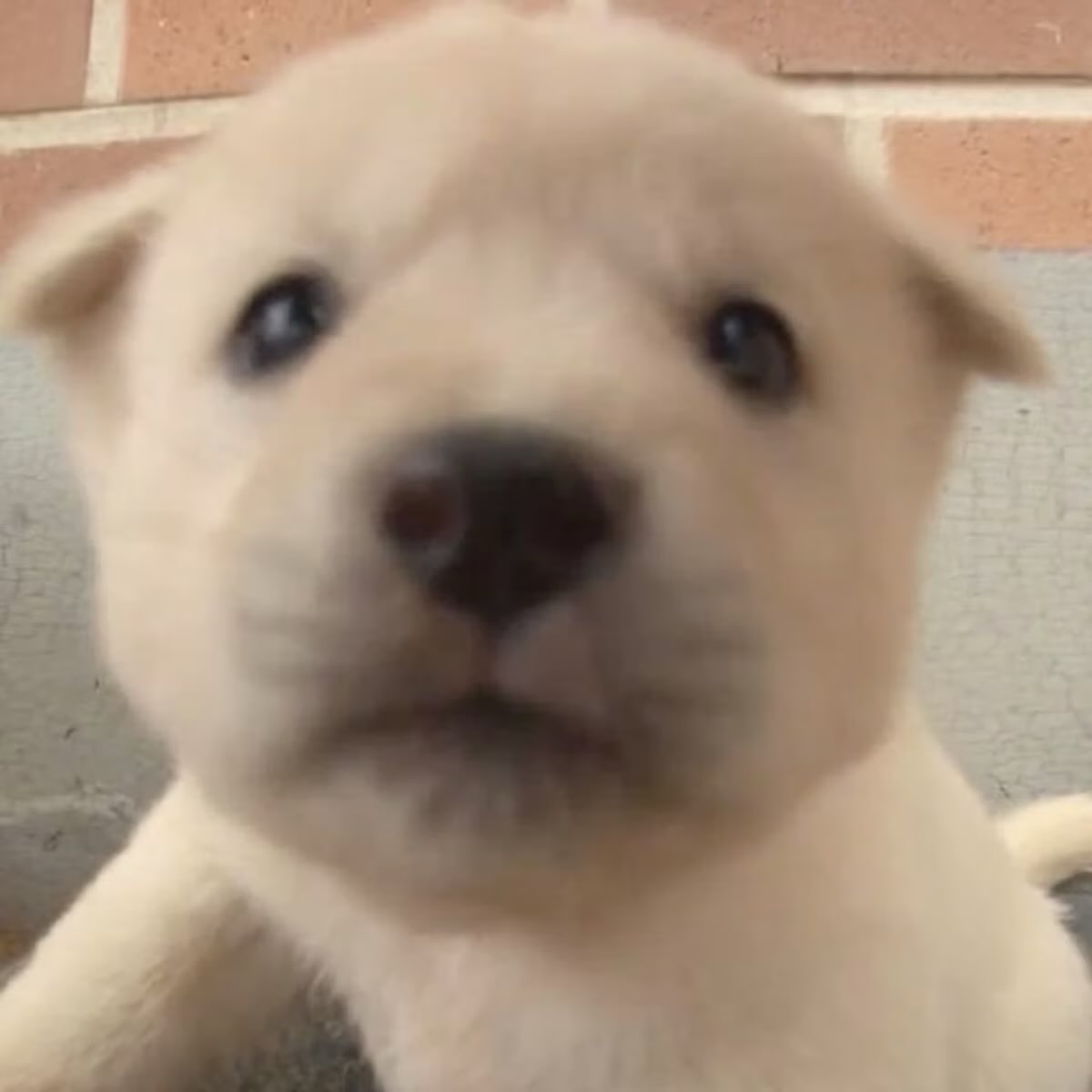 milky ღ tweet media