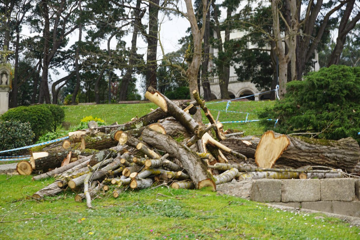 PP A Coruña tweet media