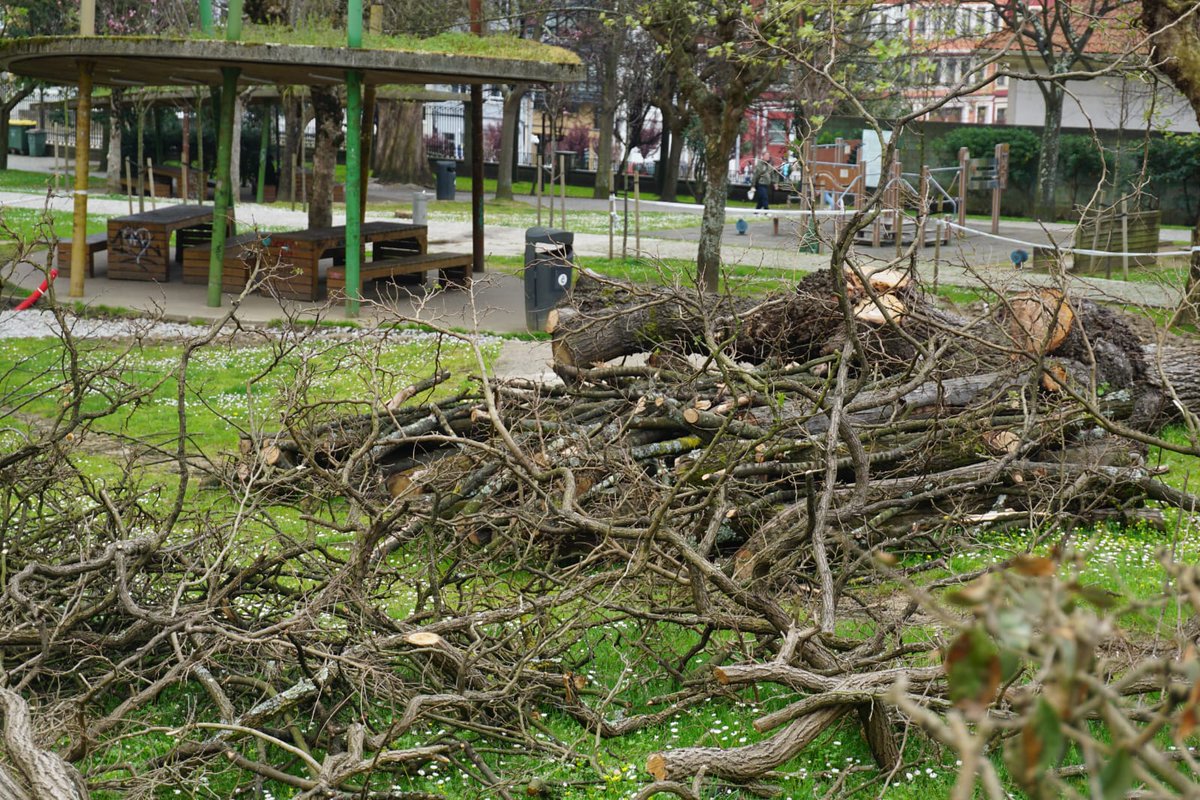 PP A Coruña tweet media