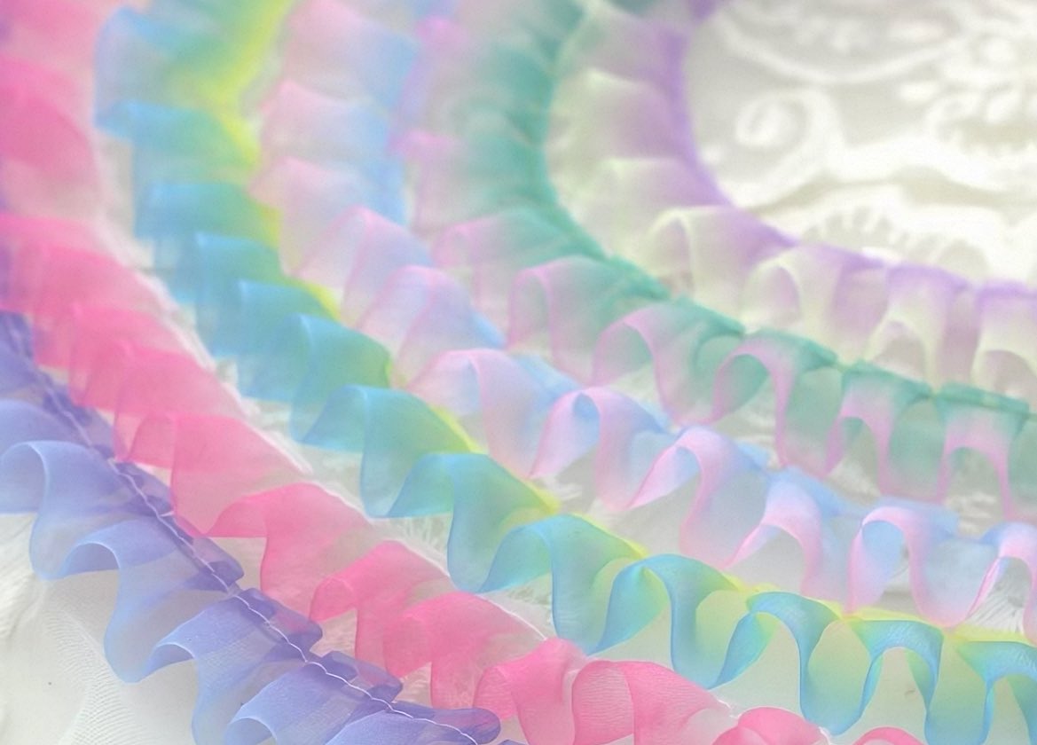 animamundi tweet media