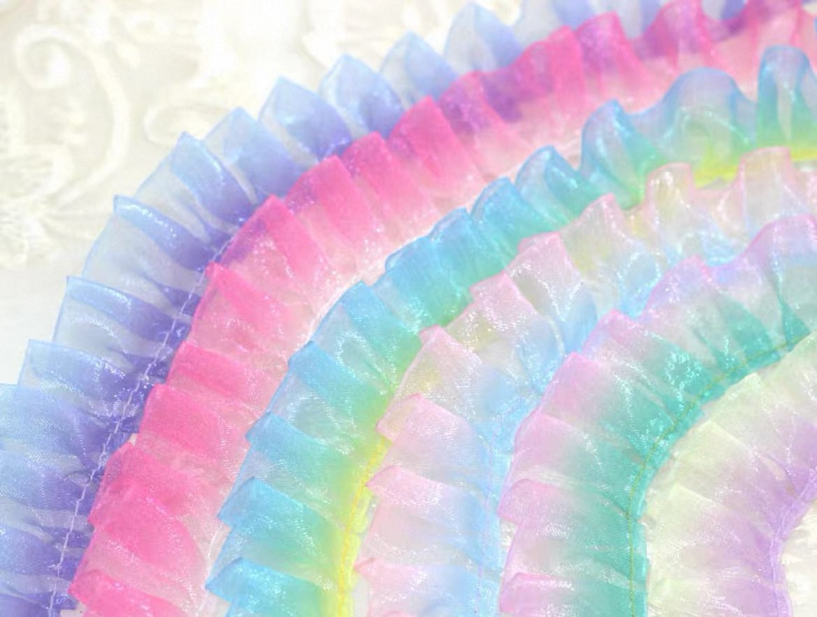 animamundi tweet media