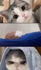 网闻传骚 tweet media