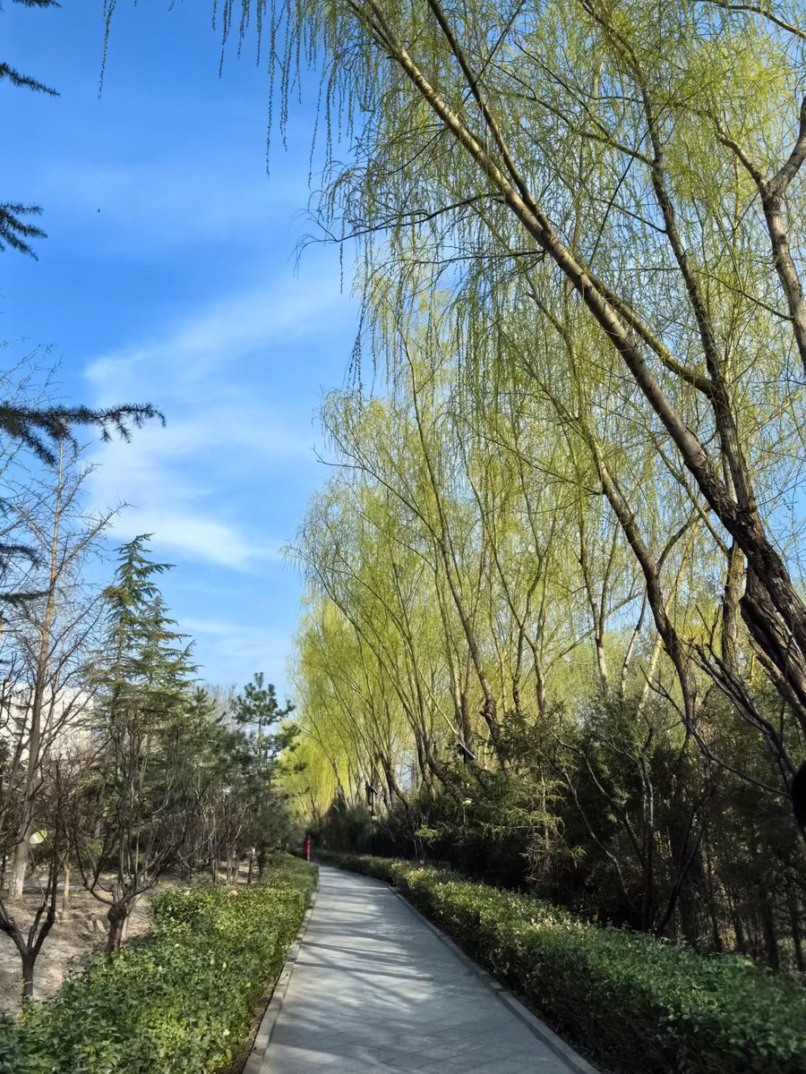 xiaomifeng0224's tweet photo. 学会归零，让坏的不影响未来，让好的不迷惑现在。
#LibertyCats #LibertyCatNFT 
 #NFT https://t.co/mwwzjItZUl