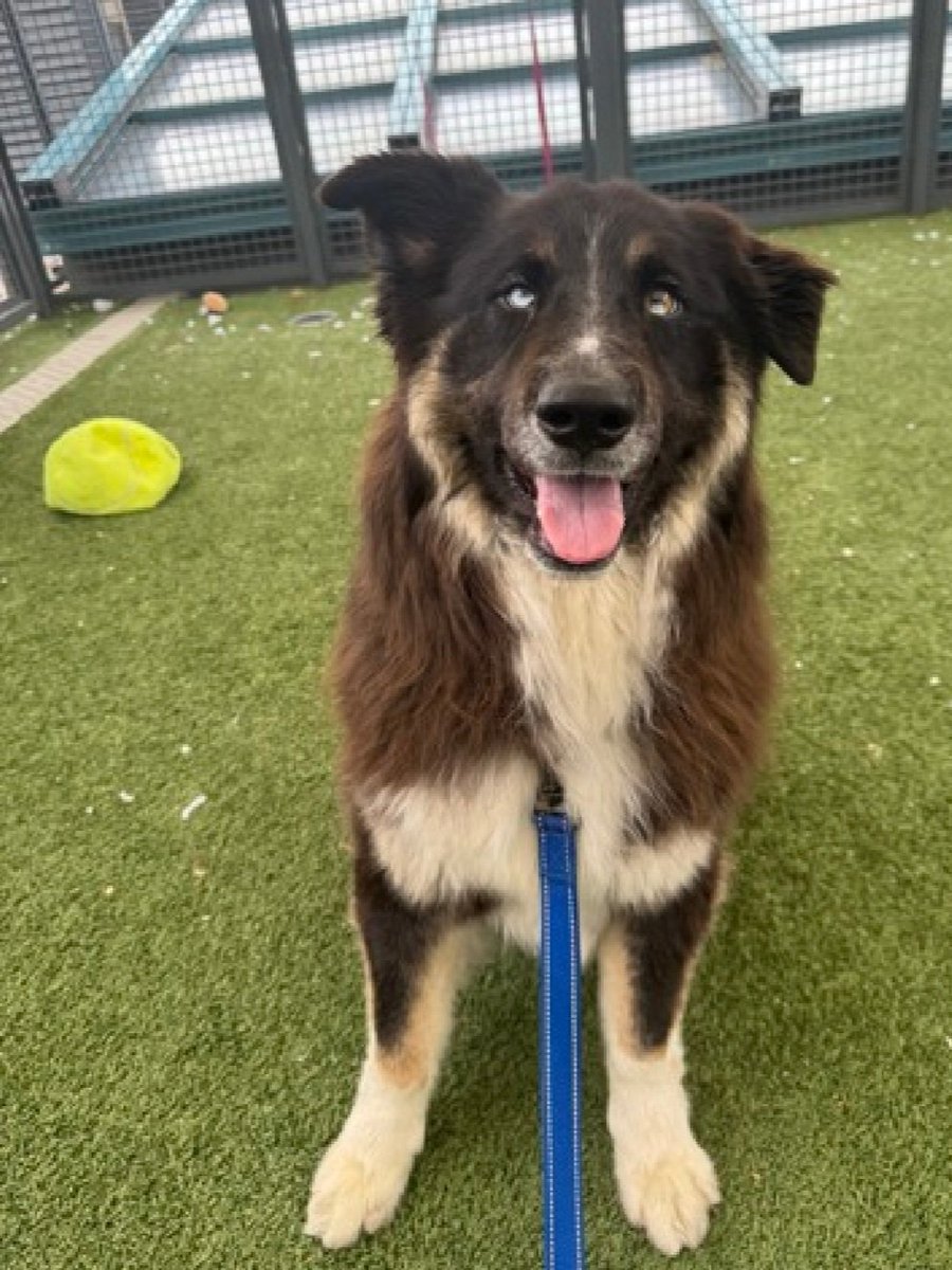 Julie🌻🐾 tweet media