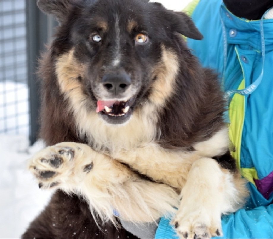 Julie🌻🐾 tweet media