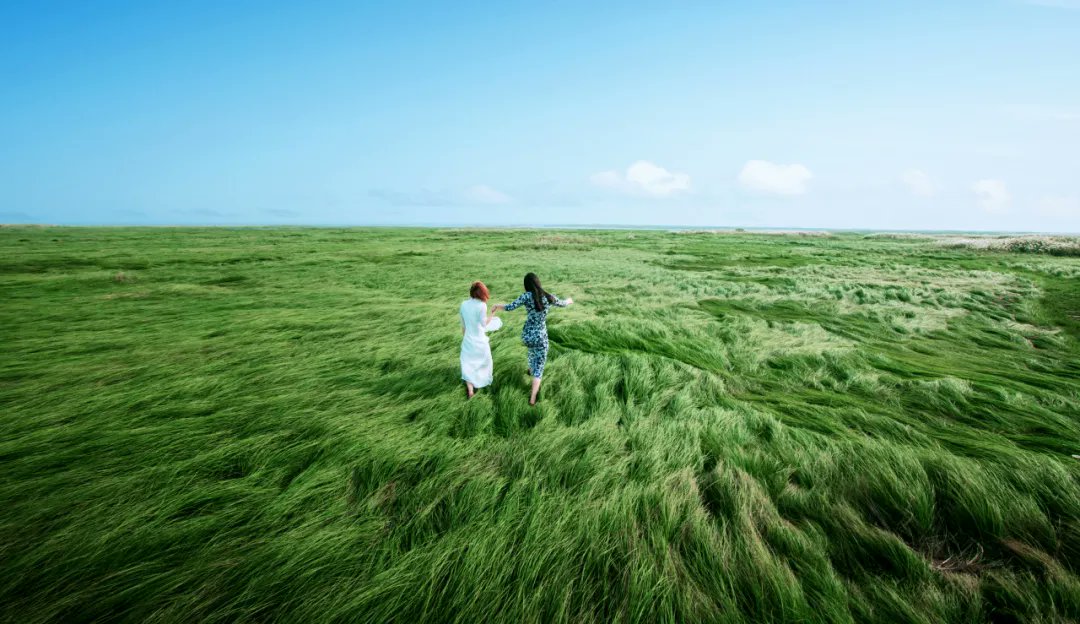 Discover Jiangxi tweet media