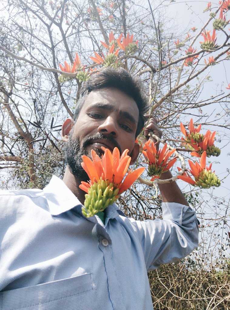 PravatSaho47095's tweet photo. Do not ପଳାଶଫୁଲ #Darling4K
#rooz https://t.co/ILbsGYzakX