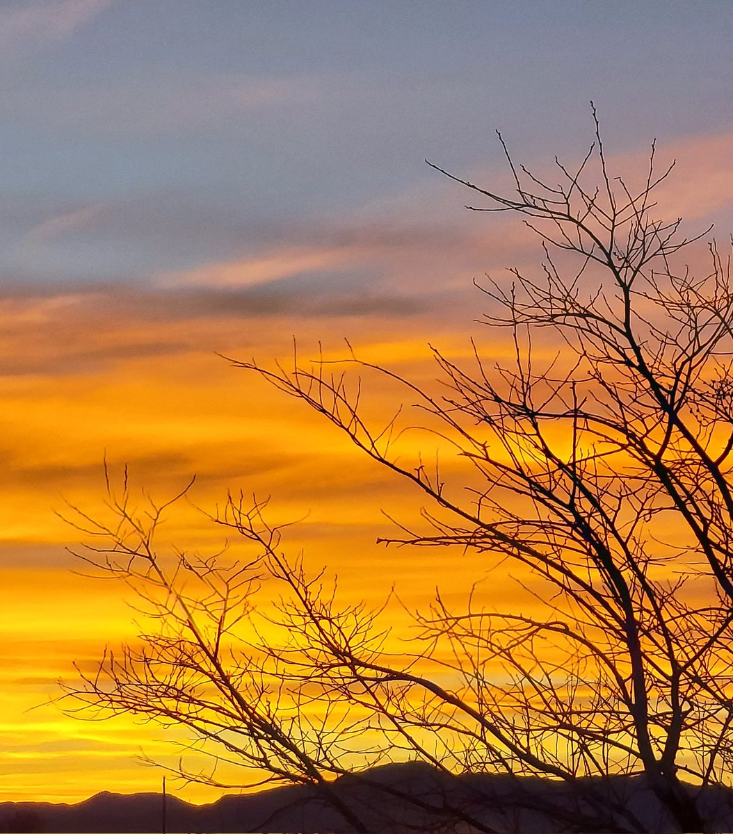 Wesley Buist tweet media