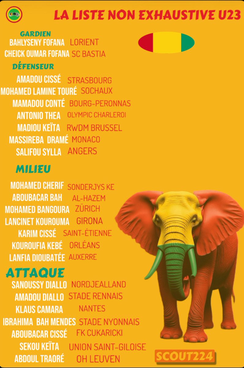 SCOUT224 🔎 🇬🇳 tweet media