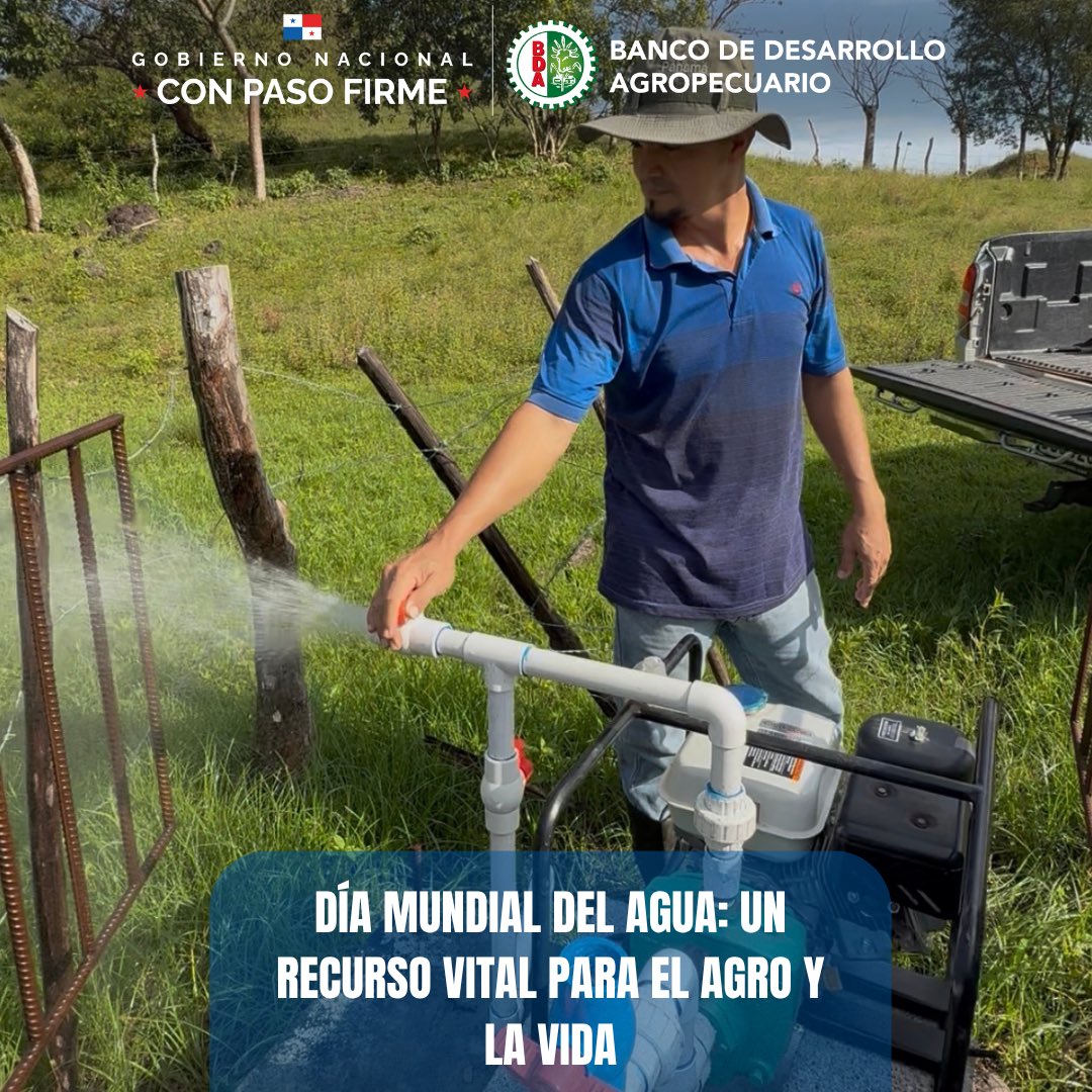 #ElBancoDelProductor tweet media