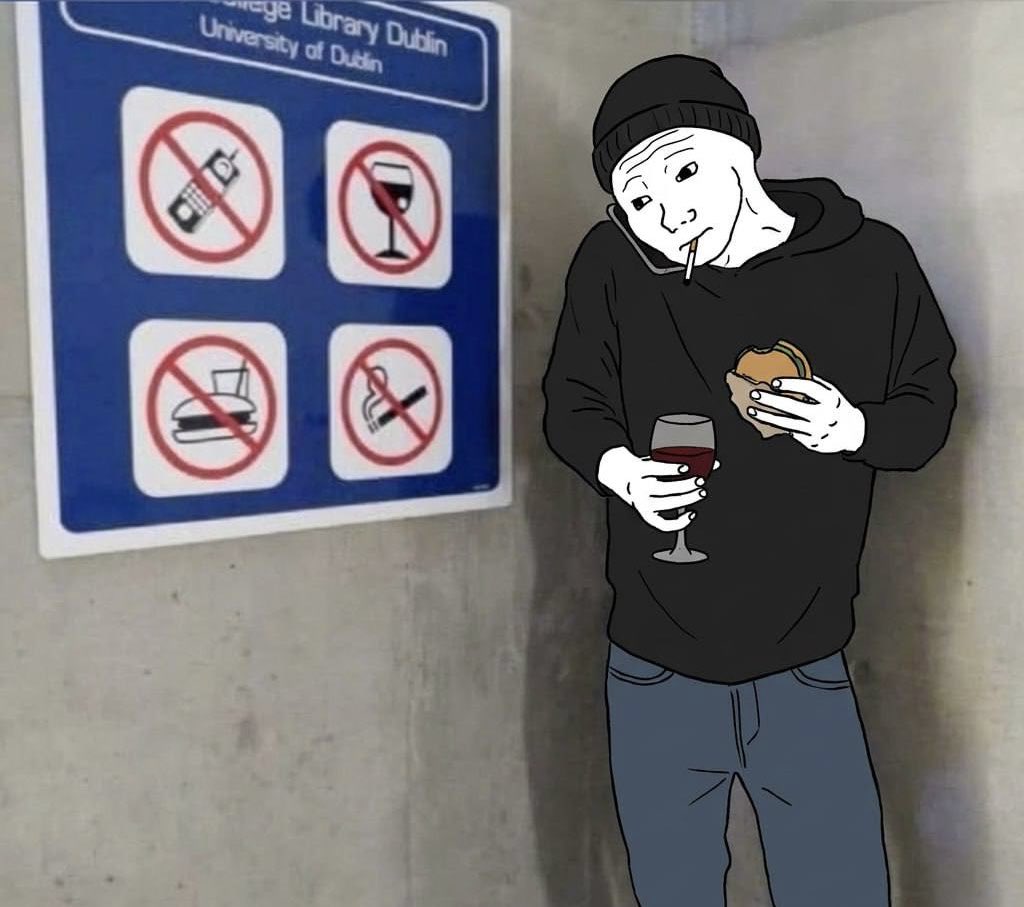 BOMO 🐸 tweet media