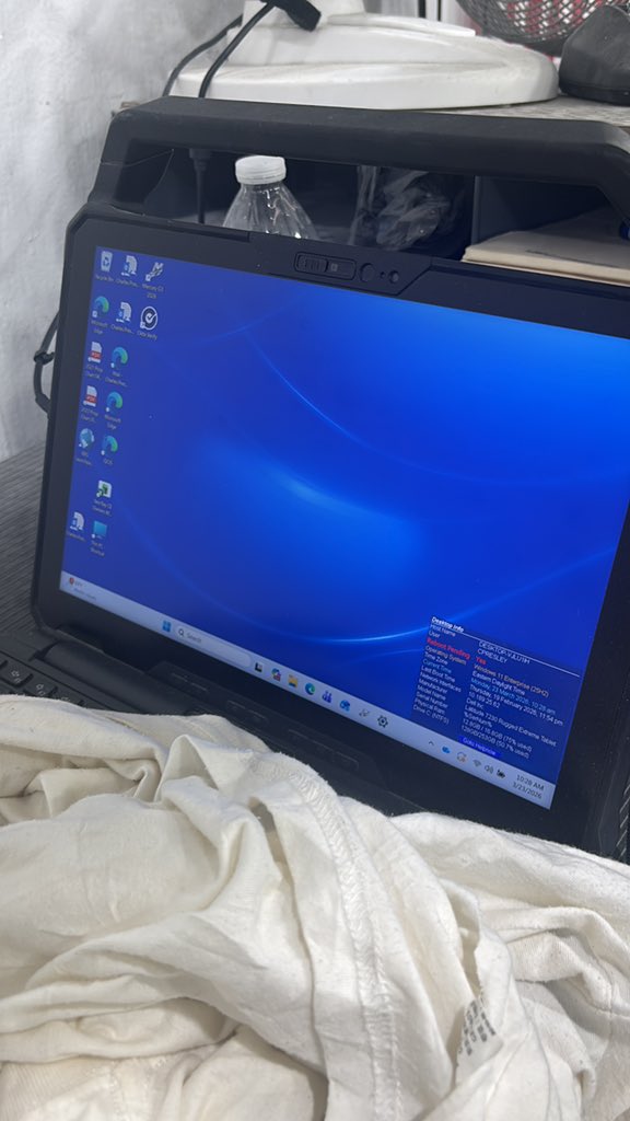 Big🍊Zilla 🍊🍊 tweet media