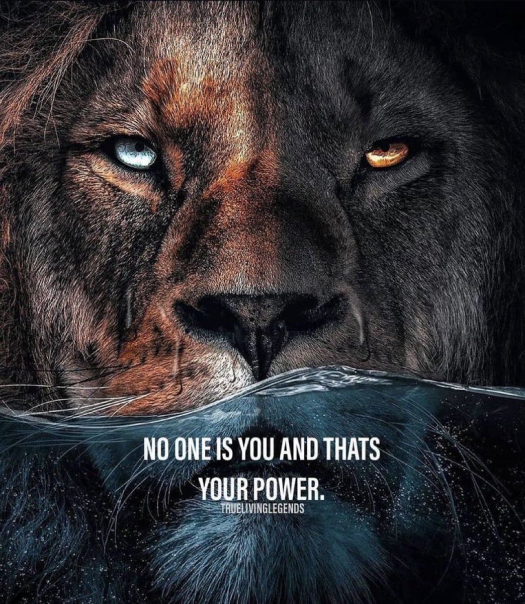 FridayCinema tweet media