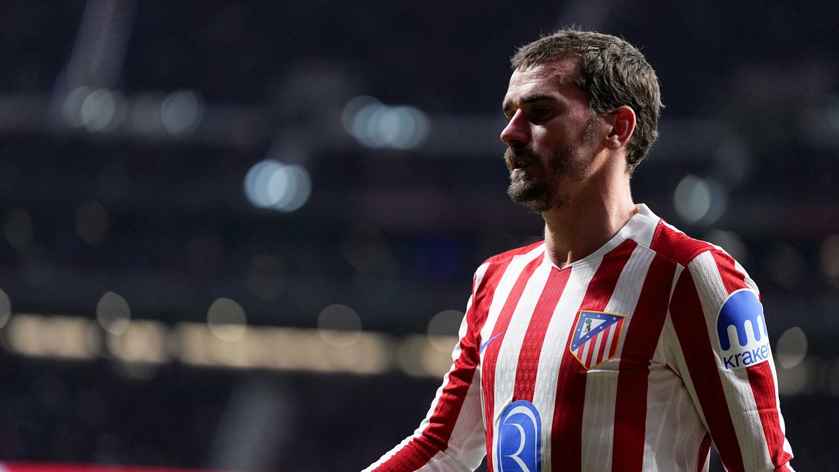 mahmoudd tweet media