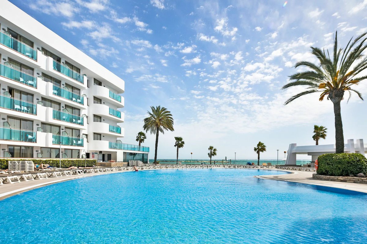 DutchFlyGuys tweet media