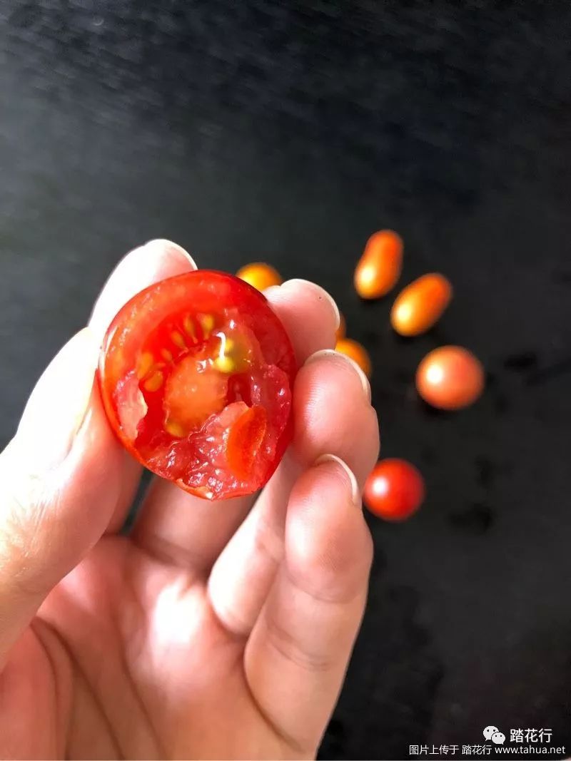 alayna lopez tweet media