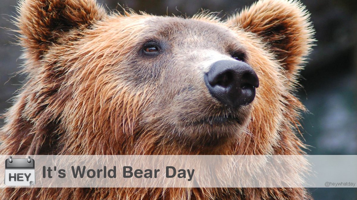 HeyWhatDay tweet media