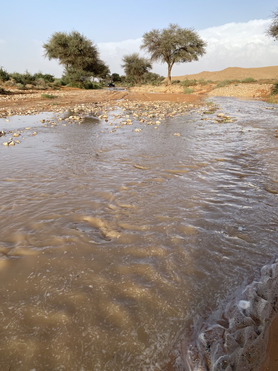 ابوعبدالله الفيصل 70 tweet media