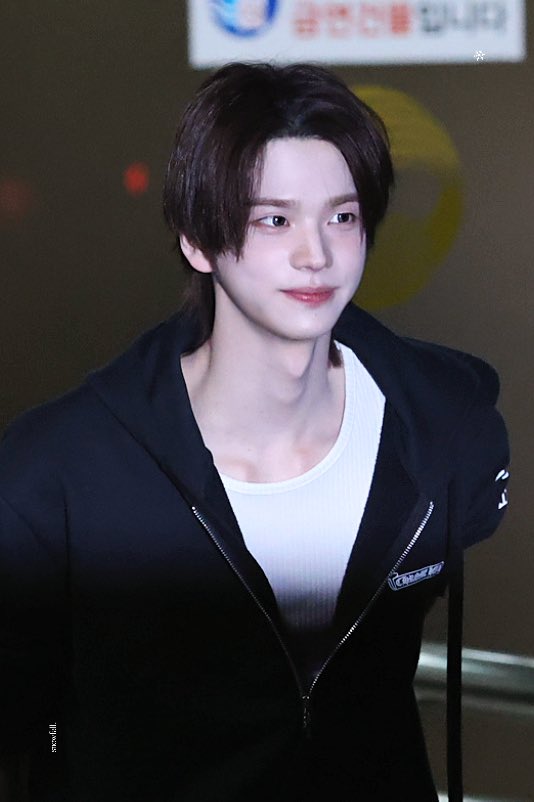 snowfall. tweet media