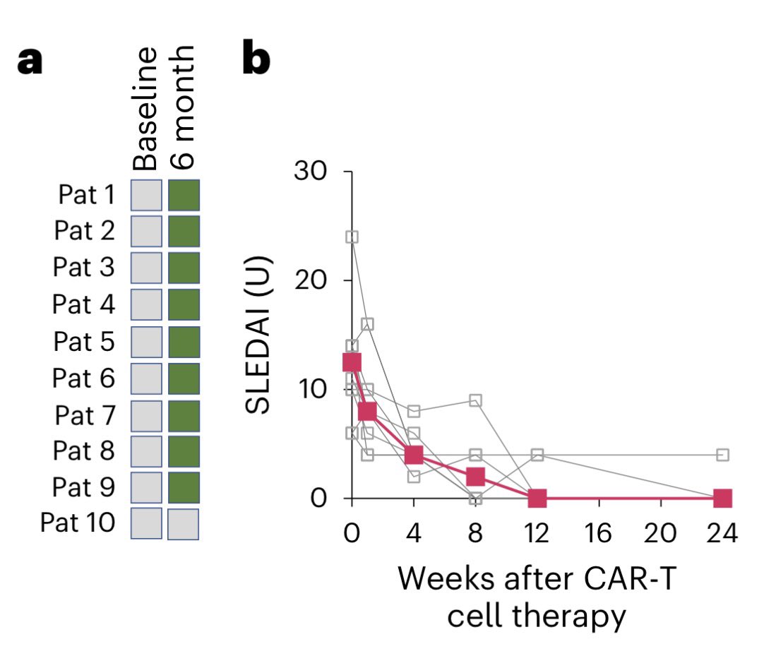 Alejandro Macias tweet media