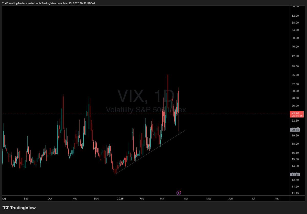 ⚡️The Traveling Trader⚡️ tweet media