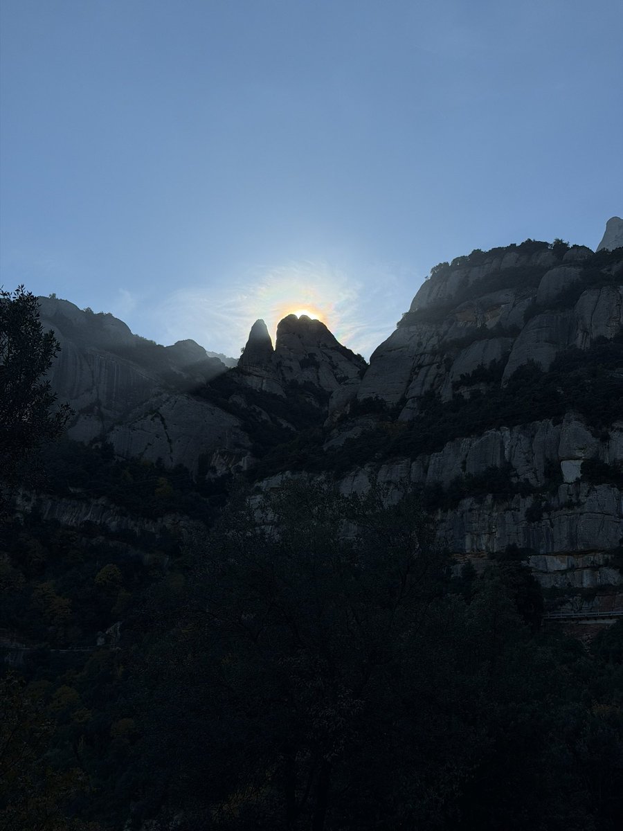 Elle Voss tweet media