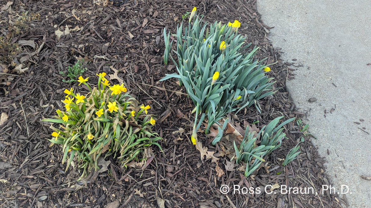 K-State's Turf and Landscape Management Team tweet media