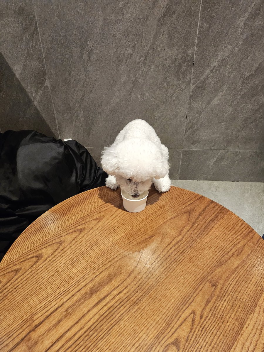 ENHYPEN WEVERSE tweet media