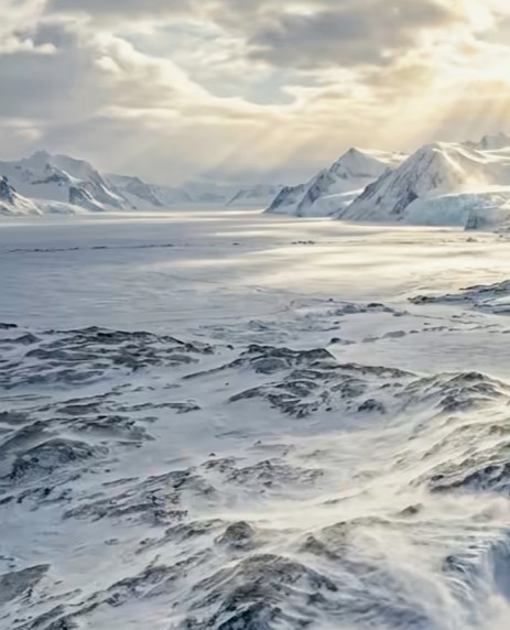 MAH -ANA tweet media