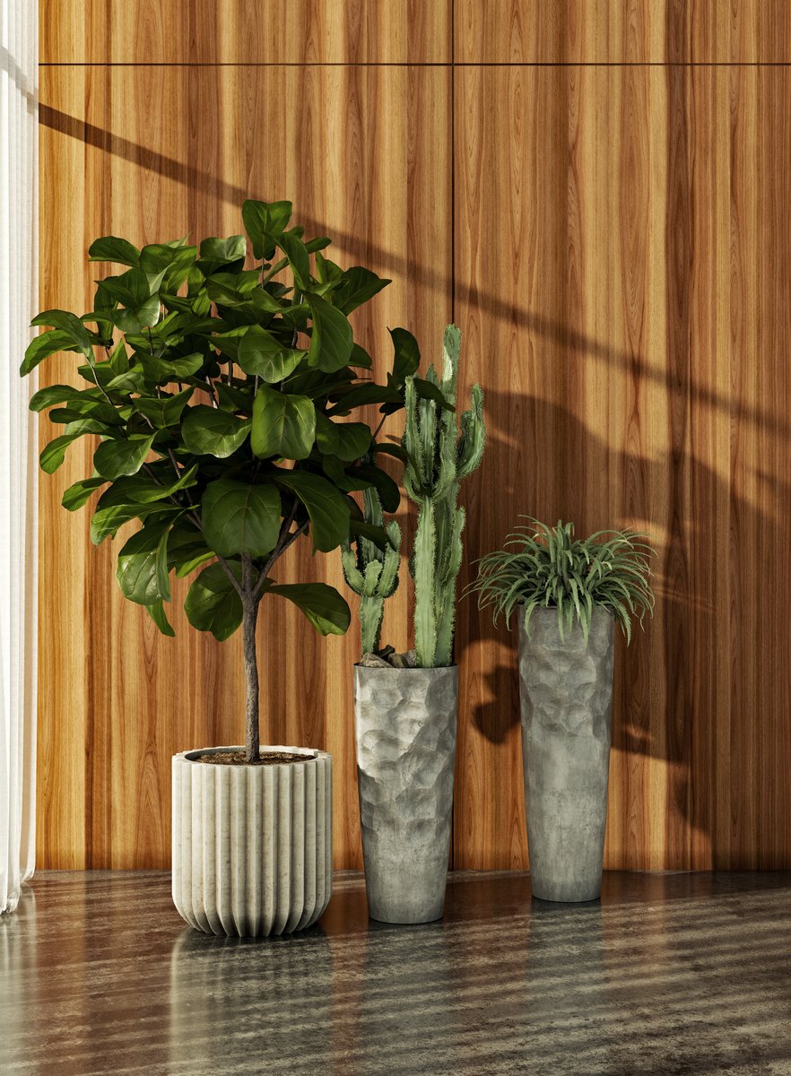 lacey finch tweet media