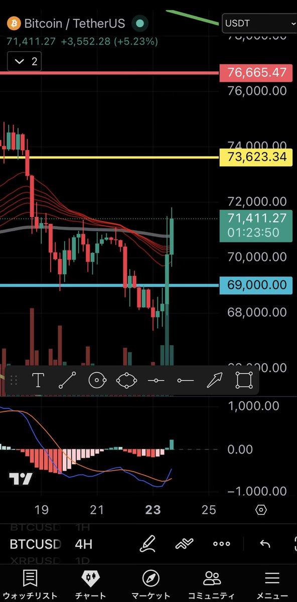 百式＄Model100 tweet media