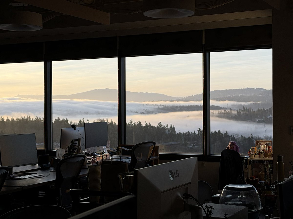 猫得食儿 tweet media