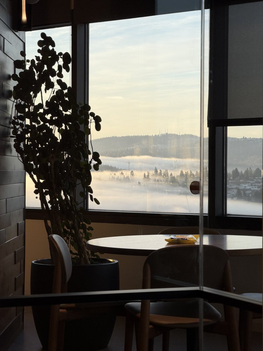 猫得食儿 tweet media