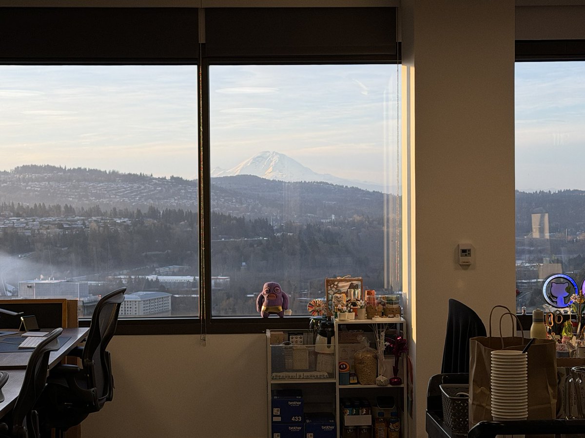 猫得食儿 tweet media