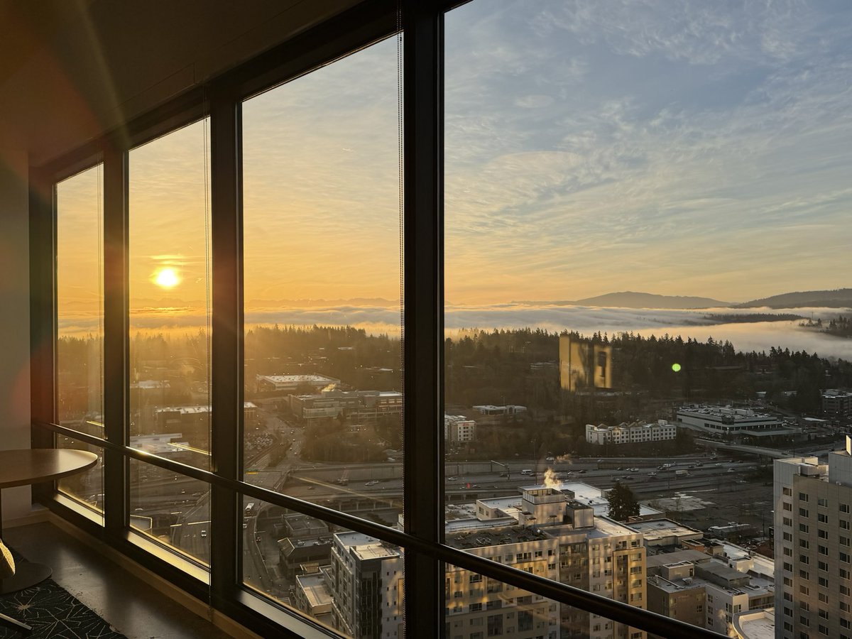 猫得食儿 tweet media