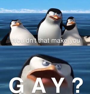 David Potter tweet media