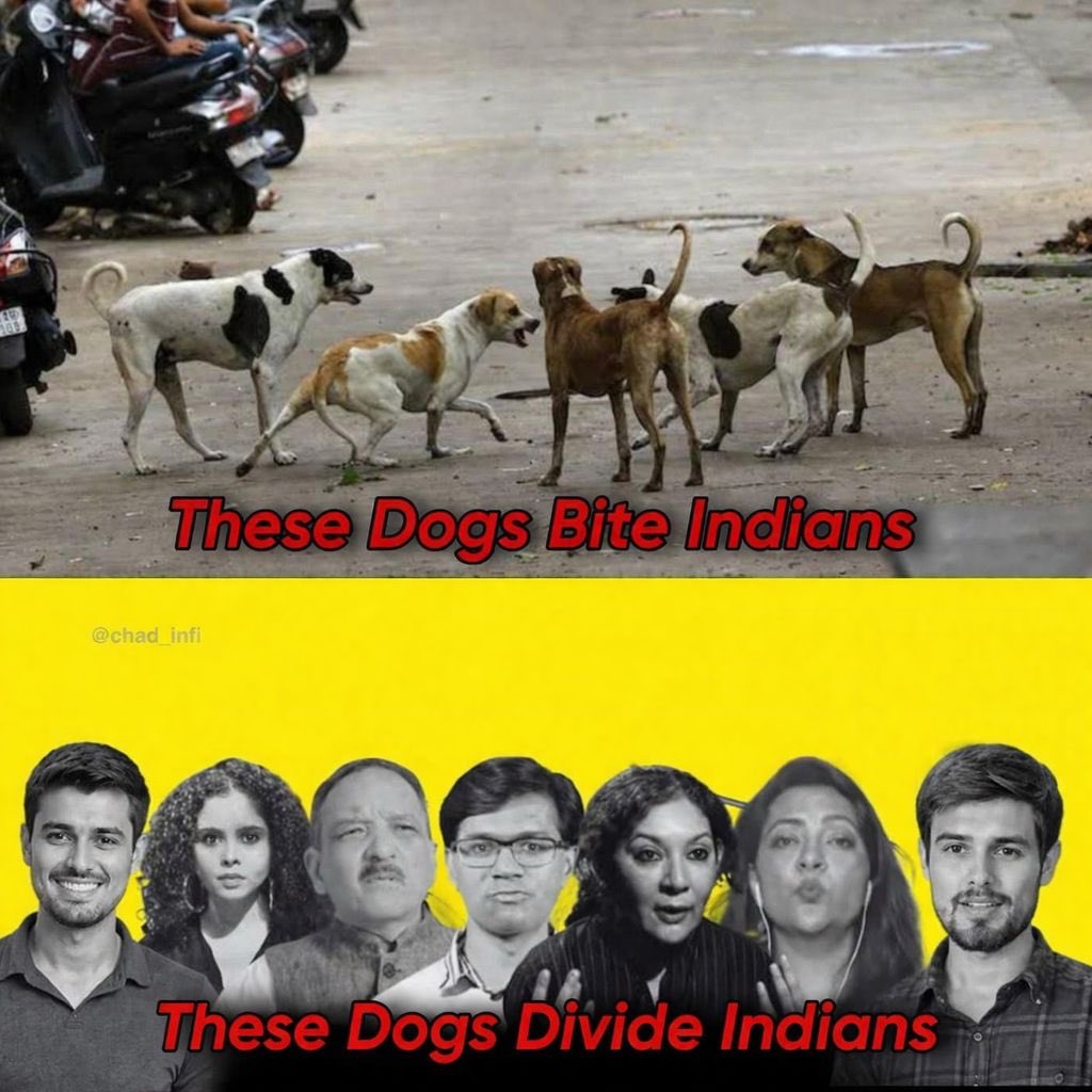 HINDUSTANI tweet media