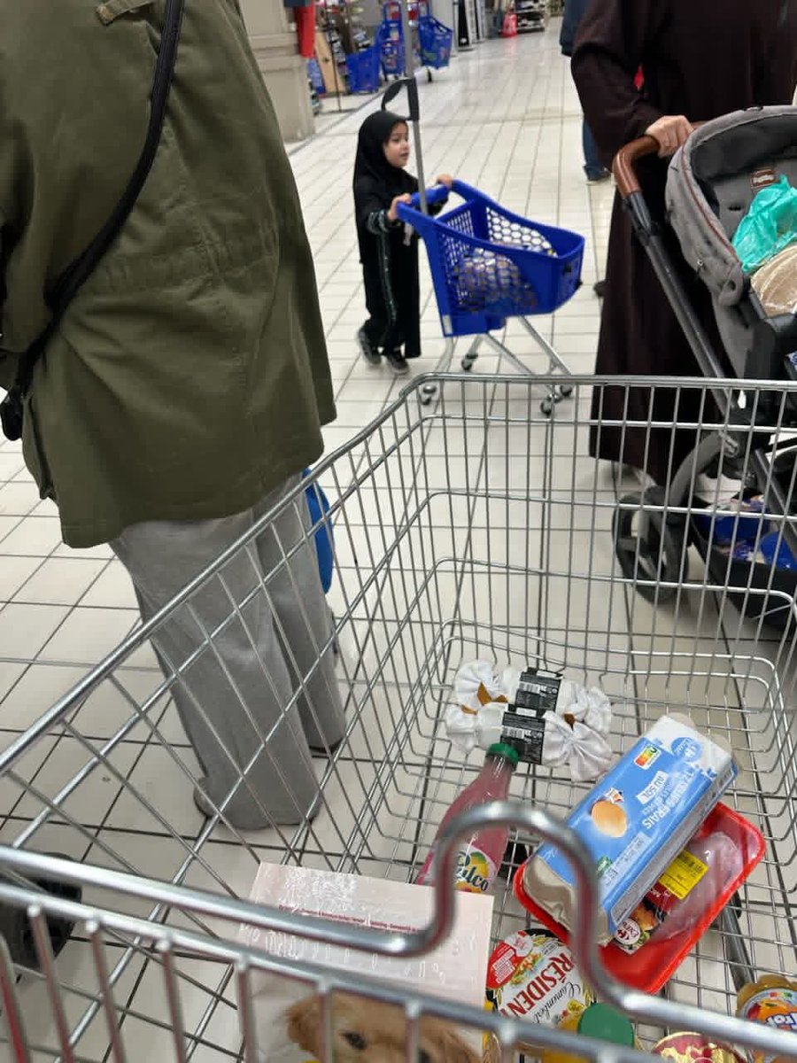 cheikh apostate bint Allah tweet media