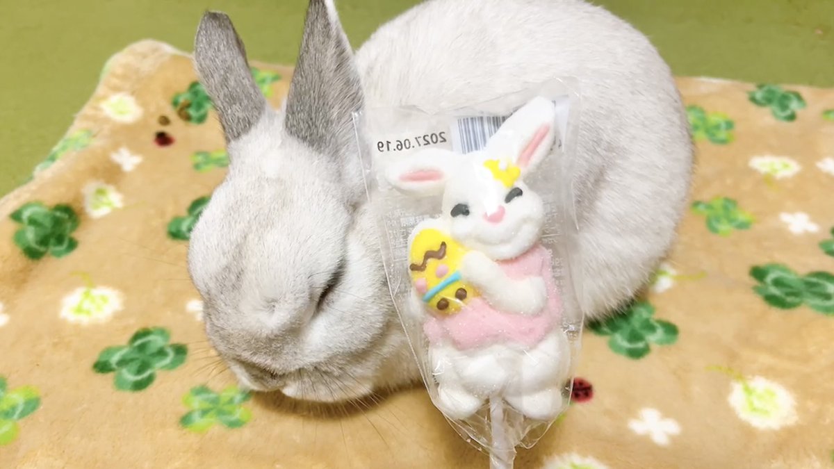 そら君 tweet media