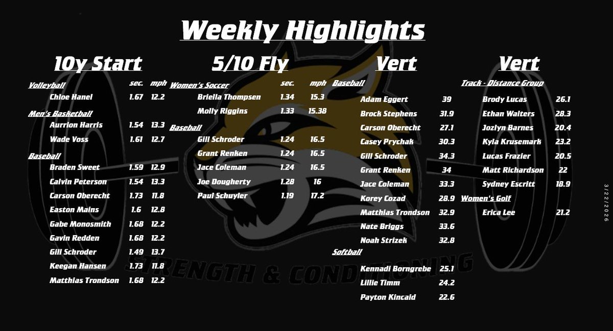 WSC Strength tweet media